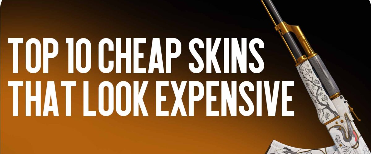 Top 10 cheap skins with an expensive look