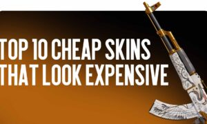 Top 10 cheap skins with an expensive look