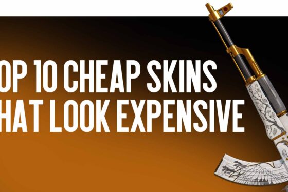 Top 10 cheap skins with an expensive look