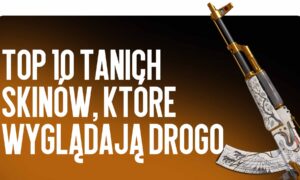 Top 10 tanich skinów z drogim wyglądem