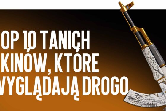 Top 10 tanich skinów z drogim wyglądem