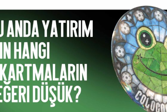 Hangi Çıkartmalar Şu Anda Yatırım İçin Değeri Bilinmiyor