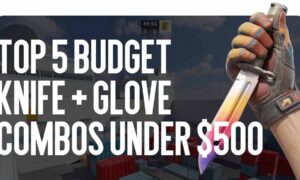 Top 5 Budget Knife + Gloves Combos Under $500