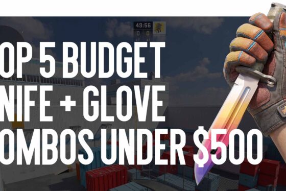 Top 5 Budget Knife + Gloves Combos Under $500