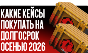 Какие кейсы покупать на долгосрок осенью 2026