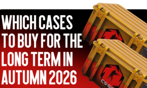 Which Cases to Buy for the Long Term in Autumn 2026