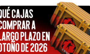 Qué Cajas Comprar a Largo Plazo en Otoño de 2026