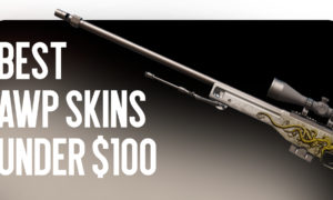 Best AWP Skins Under $100