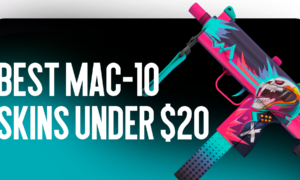 Best MAC-10 Skins Under $20