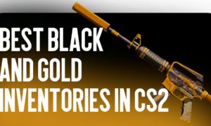 Best Black and Gold Inventories in CS2