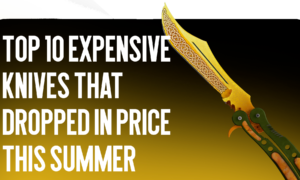 Top 10 Expensive Knives That Dropped in Price This Summer