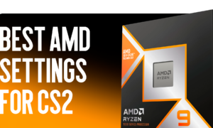 Best AMD Settings for CS2