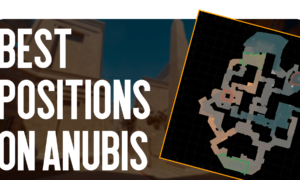 Best Positions on Anubis
