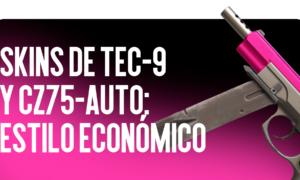 Aspectos de Tec-9 y CZ75-Auto: Estilo Económico