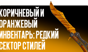 Коричневый и оранжевый инвентарь: редкий сектор стилей