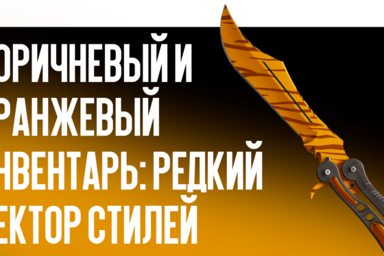 Коричневый и оранжевый инвентарь: редкий сектор стилей