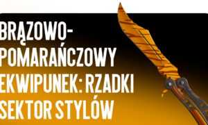 Brązowe i pomarańczowe ekwipunki: rzadki sektor stylów