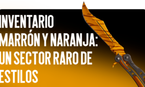 Inventario Marrón y Naranja: Un Sector Raro de Estilos