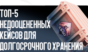 Топ-5 недооцененных кейсов для долгосрочного хранения в CS2