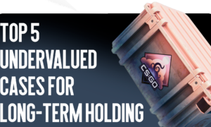 Top 5 Underrated Cases for Long-Term Storage in CS2