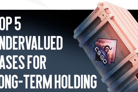 Top 5 Underrated Cases for Long-Term Storage in CS2